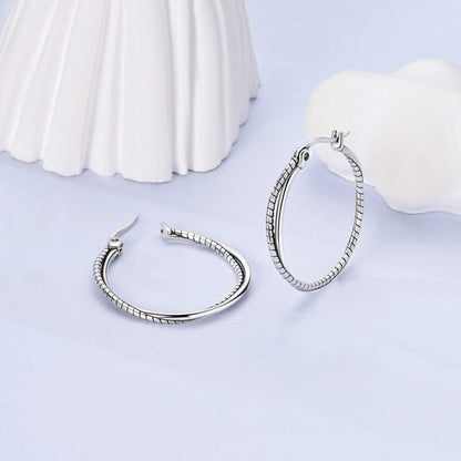 Elegant Twist Hoop Earrings